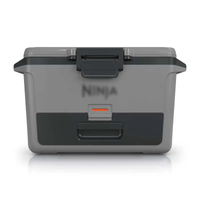 Slate Gray